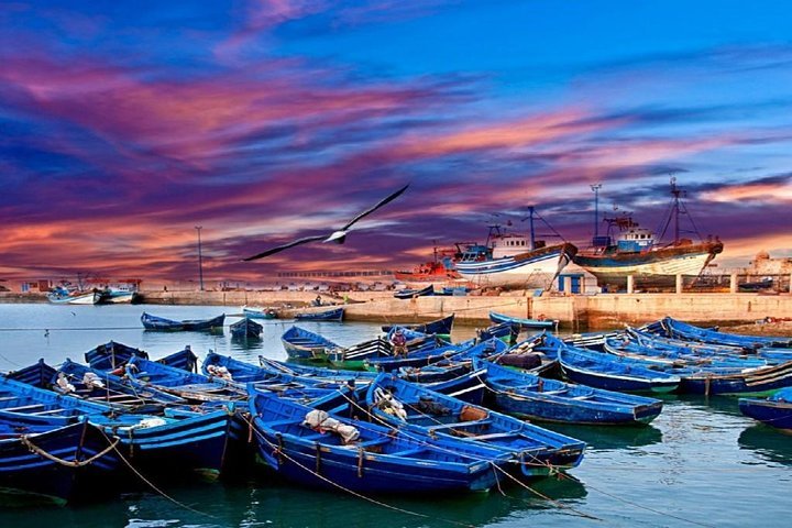 The Best Day Trips from Marrakech: Essaouira, Coastal Charm and Rich History