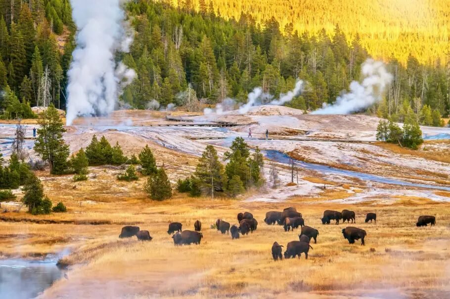 Yellowstone National Park