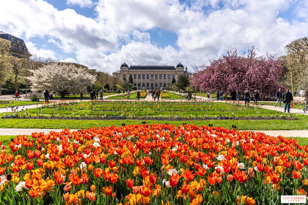 The Most Beautiful Parks and Gardens in Paris for a Nature Break, Jardin des Plantes: Paris’s Botanical Wonderland