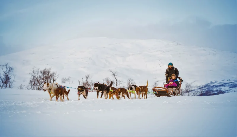 Tromsø, Norway: Arctic Adventures Await