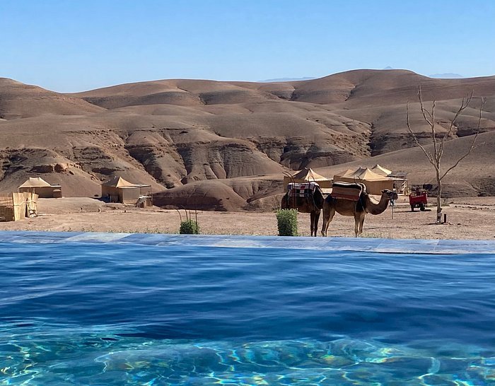 The Best Day Trips from Marrakech: Agafay Desert Morocco, Sahara-like Experience Near Marrakech