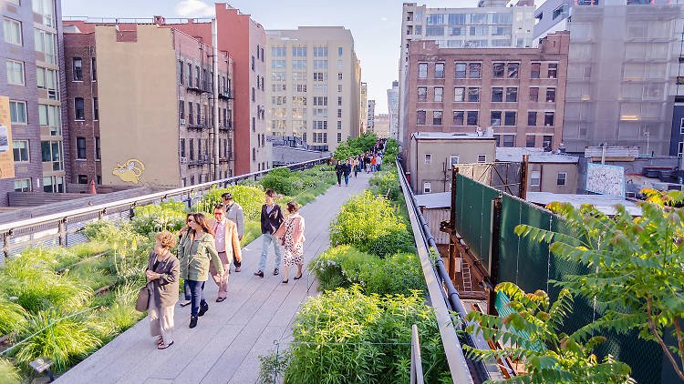 Best Parks in New York: The High Line, An Urban Park Above the Streets