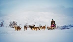 Husky Sledding Adventures Norway